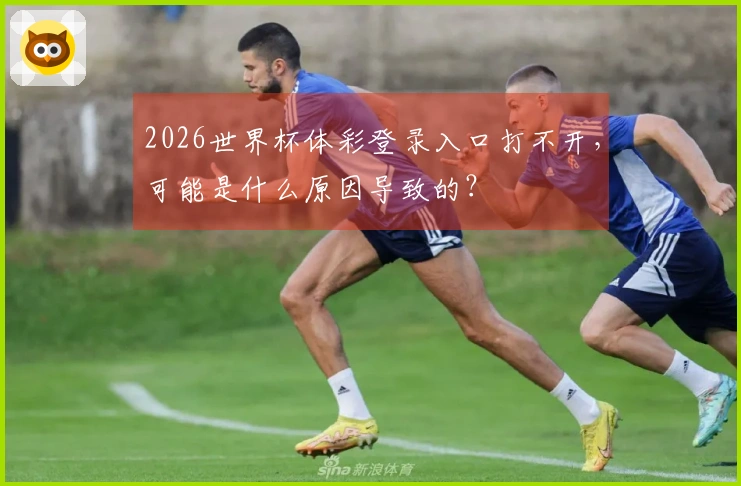 2026世界杯体彩登录入口打不开，可能是什么原因导致的？