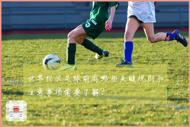 世界杯买足球前有哪些关键规则和注意事项需要了解？