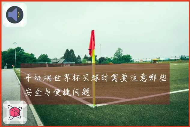 手机端世界杯买球时需要注意哪些安全与便捷问题