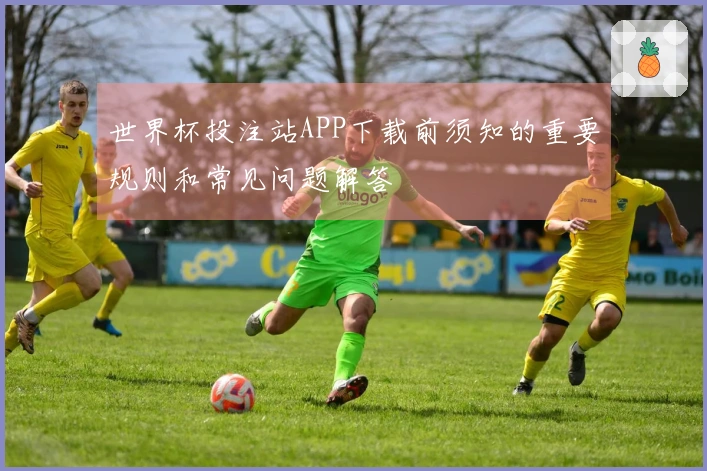 世界杯投注站APP下载前须知的重要规则和常见问题解答