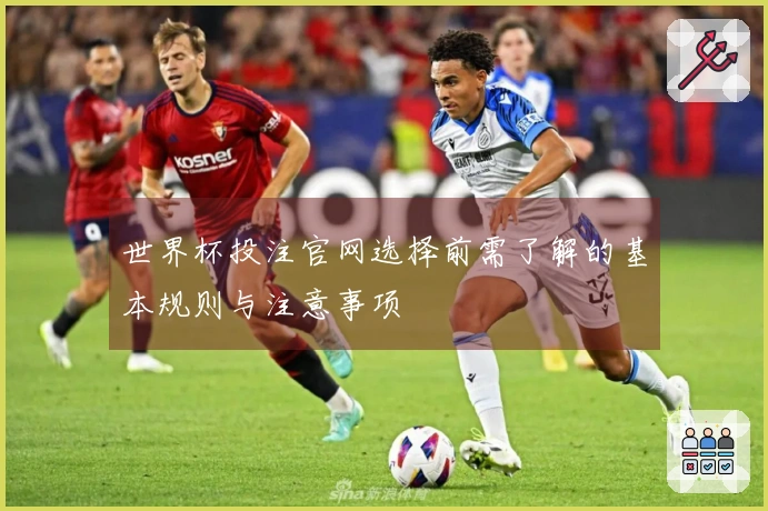 世界杯投注官网选择前需了解的基本规则与注意事项