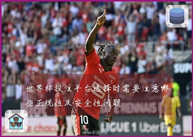 世界杯投注平台选择时需要注意哪些正规性及安全性问题