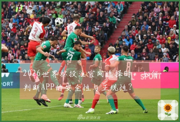 2026世界杯投注官网选择时，如何判断APP的安全性与正规性？