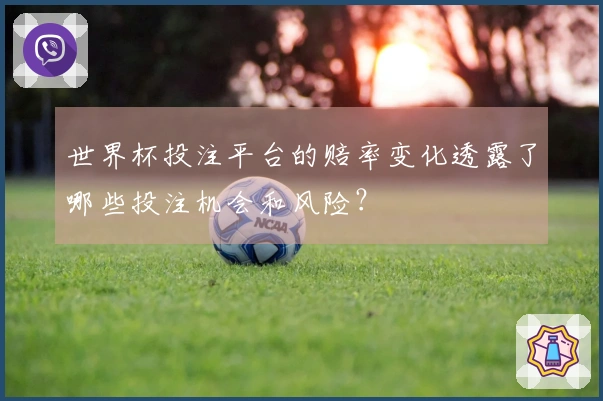 世界杯投注平台的赔率变化透露了哪些投注机会和风险？