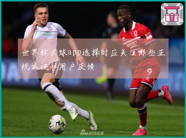 世界杯买球app选择时应关注哪些正规认证和用户反馈