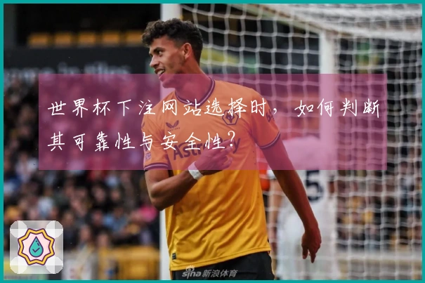 世界杯下注网站选择时，如何判断其可靠性与安全性？