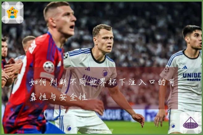 如何判断不同世界杯下注入口的可靠性与安全性