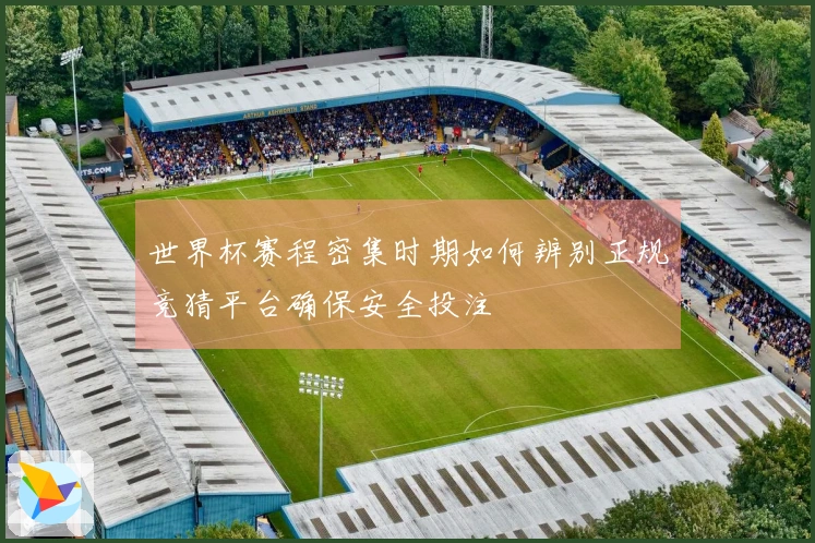 世界杯赛程密集时期如何辨别正规竞猜平台确保安全投注