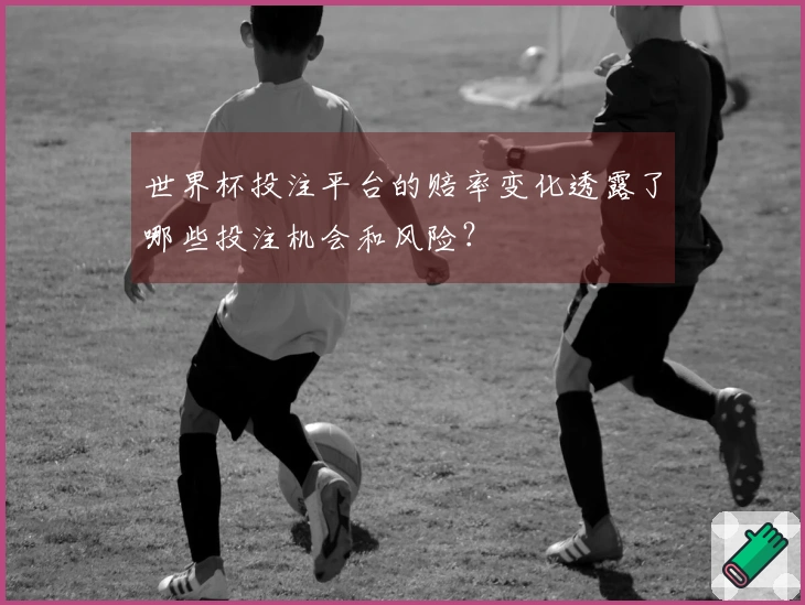 世界杯投注平台的赔率变化透露了哪些投注机会和风险？