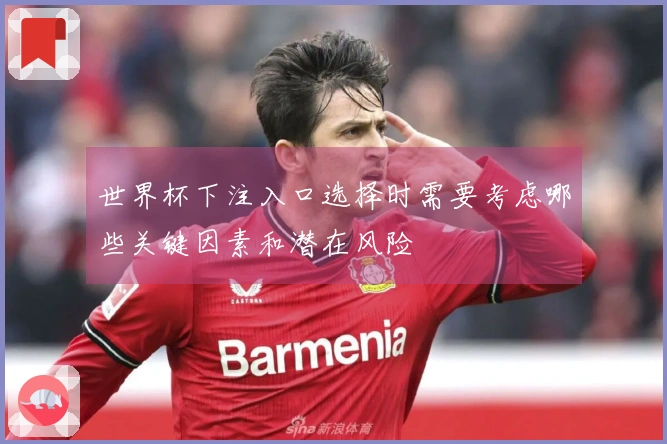 世界杯下注入口选择时需要考虑哪些关键因素和潜在风险