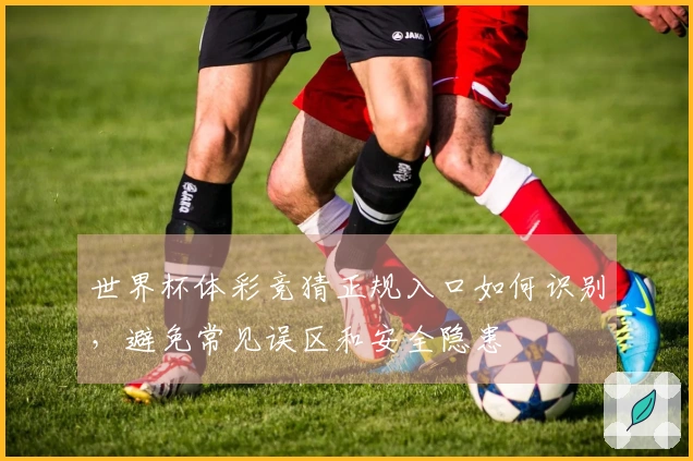 世界杯体彩竞猜正规入口如何识别，避免常见误区和安全隐患
