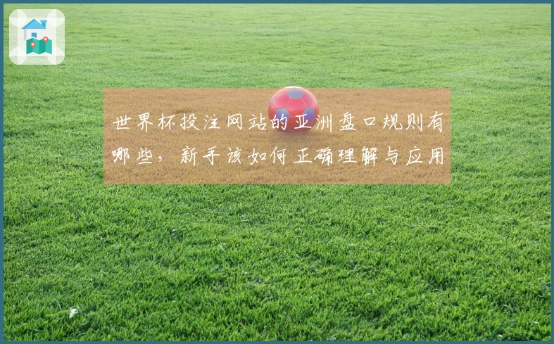 世界杯投注网站的亚洲盘口规则有哪些，新手该如何正确理解与应用？