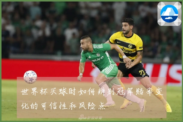 世界杯买球时如何辨别冠军赔率变化的可信性和风险点