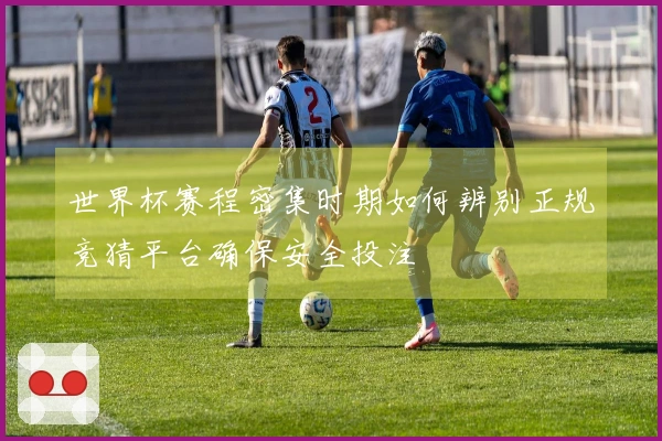 世界杯赛程密集时期如何辨别正规竞猜平台确保安全投注