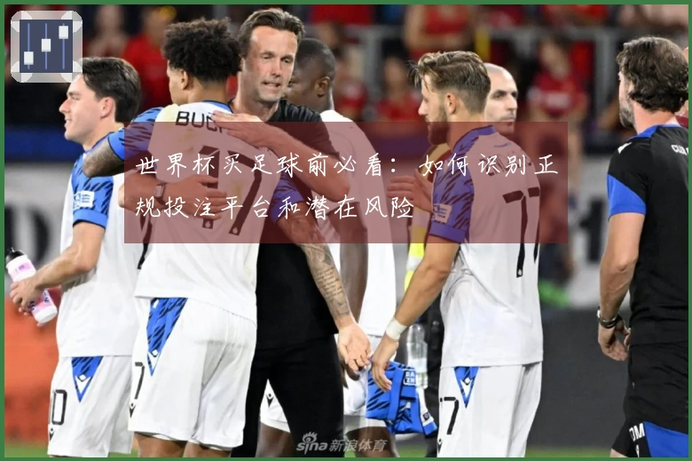 世界杯买足球前必看：如何识别正规投注平台和潜在风险