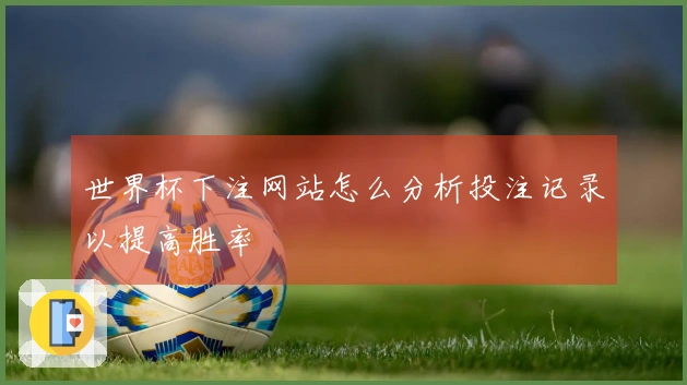世界杯下注网站怎么分析投注记录以提高胜率