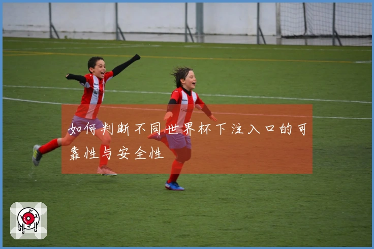 如何判断不同世界杯下注入口的可靠性与安全性
