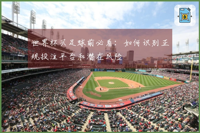 世界杯买足球前必看：如何识别正规投注平台和潜在风险
