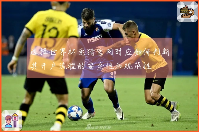 选择世界杯竞猜官网时应如何判断其开户流程的安全性和规范性