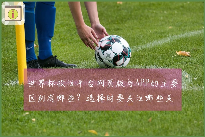 世界杯投注平台网页版与APP的主要区别有哪些？选择时要关注哪些关键要素？