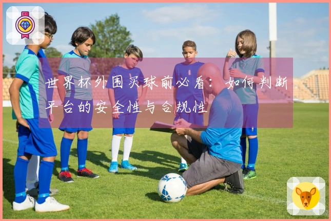 世界杯外围买球前必看：如何判断平台的安全性与合规性