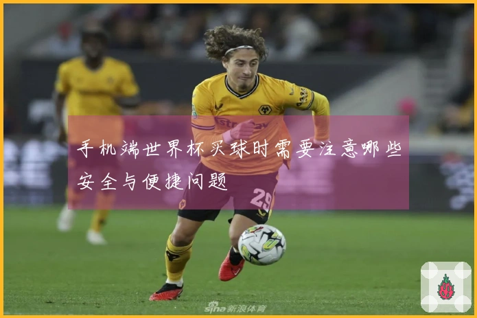 手机端世界杯买球时需要注意哪些安全与便捷问题