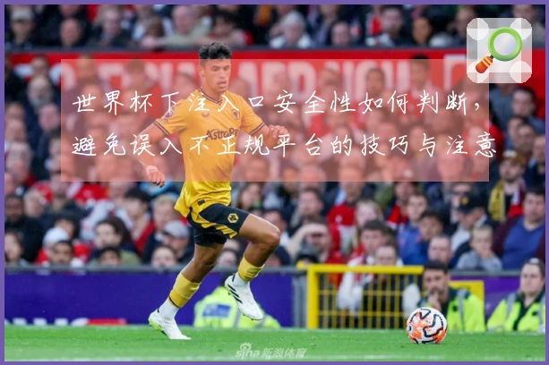 世界杯下注入口安全性如何判断，避免误入不正规平台的技巧与注意事项