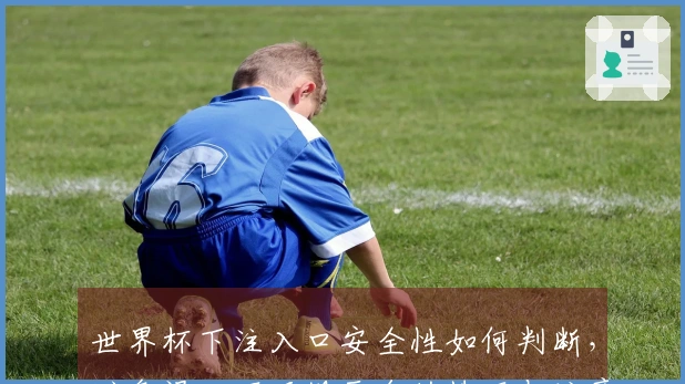 世界杯下注入口安全性如何判断，避免误入不正规平台的技巧与注意事项